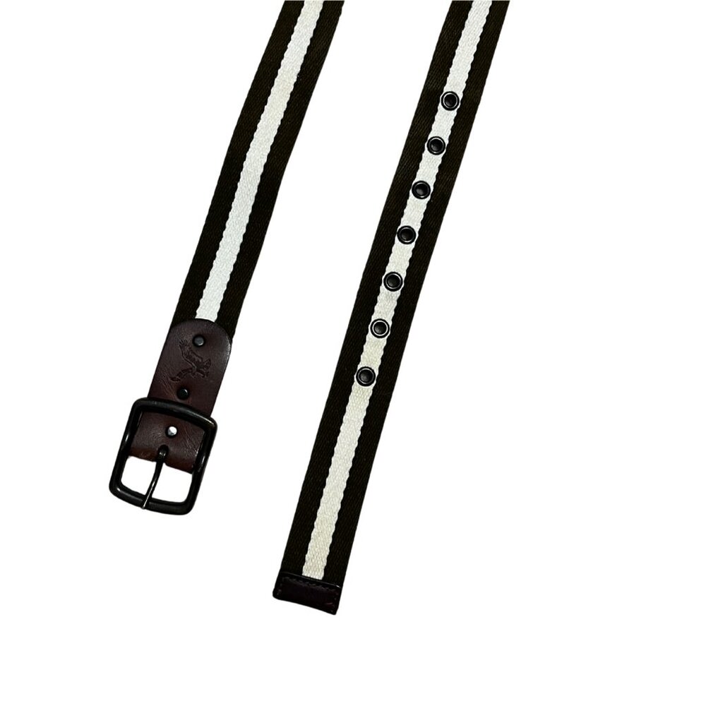 American Eagle Outfitters White and Navy Belt